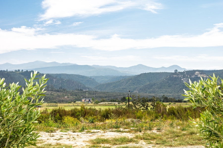 0 Bedroom Property for Sale in Welbedacht Western Cape